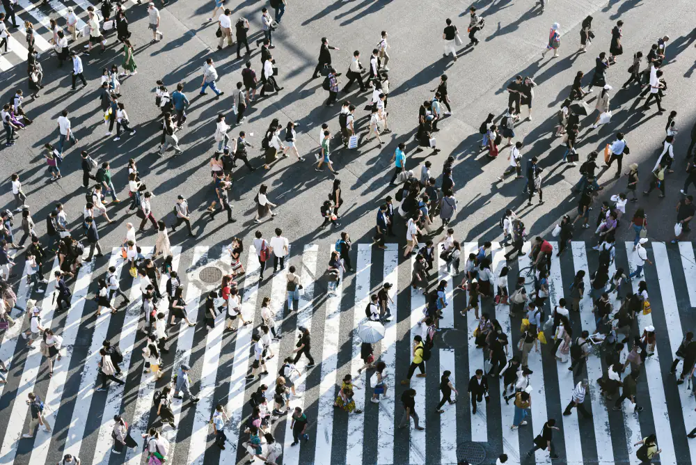Sample photo: a crowd crossing Shibuya Crossing in Tokyo, seen from above